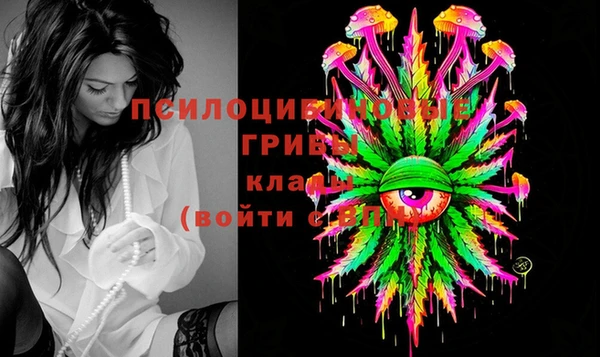 эйфоретик Краснослободск