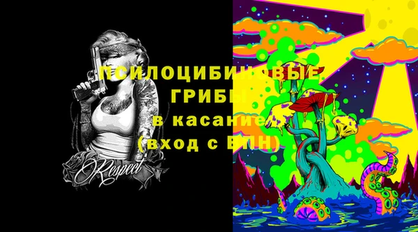 эйфоретик Краснослободск
