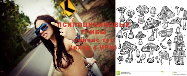 эйфоретик Краснослободск