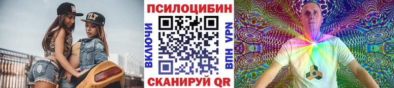 Купить  Истра  Галлюциногенные грибы прущие грибы 